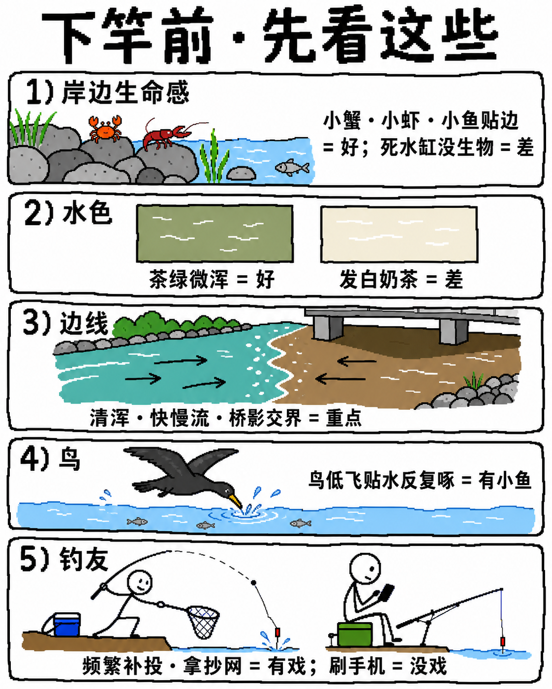 下竿前先看这些：生命感、水色、边线、鸟、钓友动作